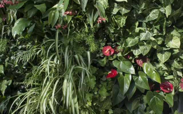 Domitys Les Cigales du Luberon