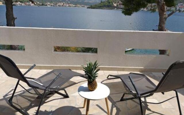 Apartman Zvonko