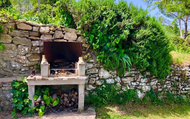 Olivo Castellina in Chianti