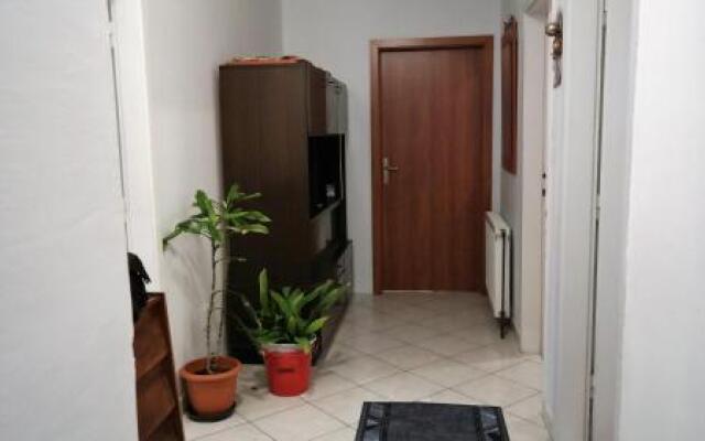 Apartmani Zorica