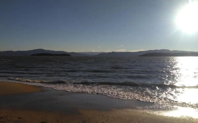 Tartaruga Azul