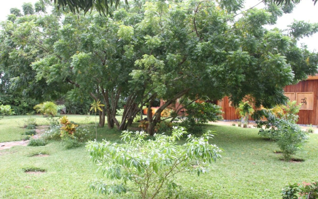Korkoe