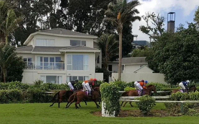 Racecourse Deluxe