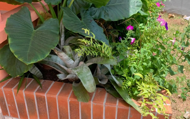 Villa Norah t5 duplex