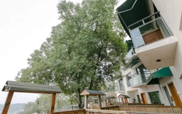 xinbo nanshan homestay