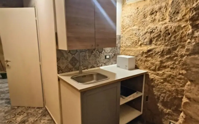 Historic Apartment