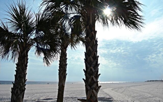 Beachview 322 by RedAwning