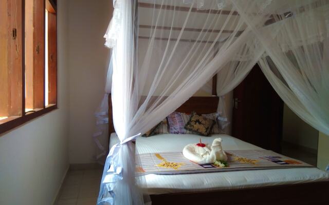 Galle Cemellia