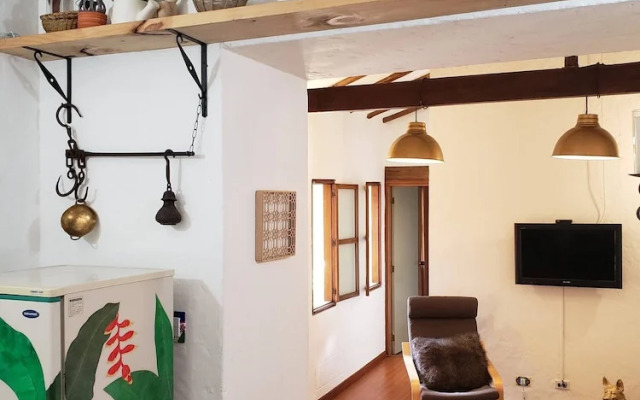 Spectacular Apartment at Historical Center