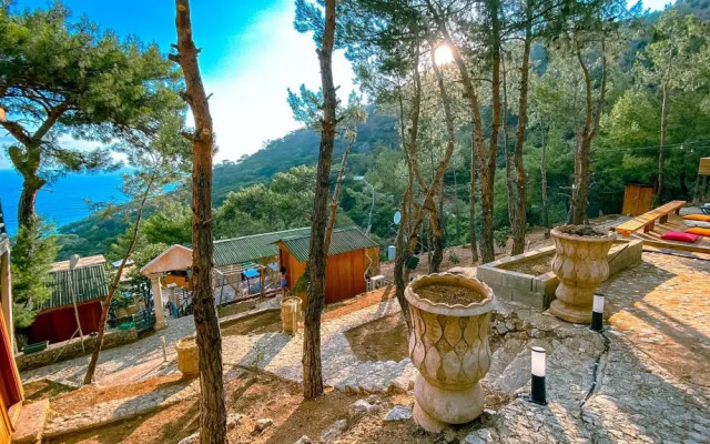 Tree House Otel