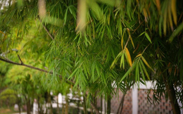 Courtyard Homestay