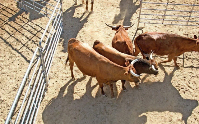 Rancho de los Caballeros