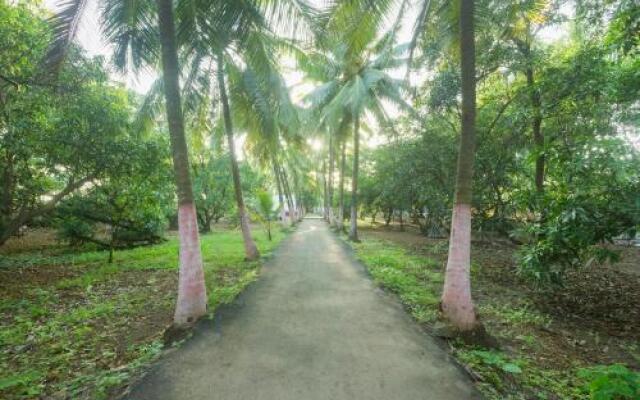 OYO 18638 Coco Mango