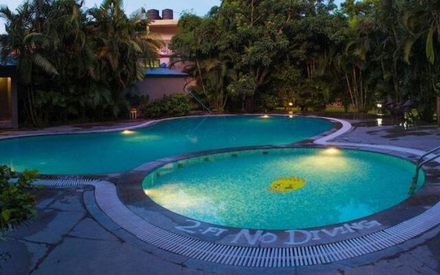 Wild Exotica Corbett