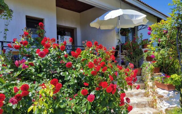 House Albena