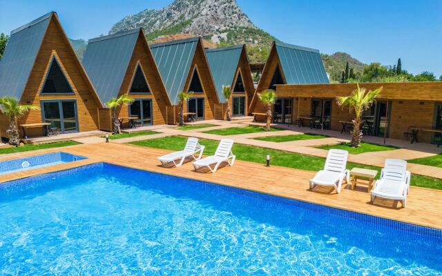 Araz Wooden Concept