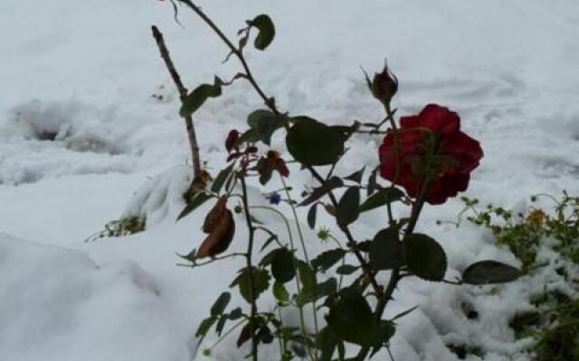 Ferienwohnungen-Schett