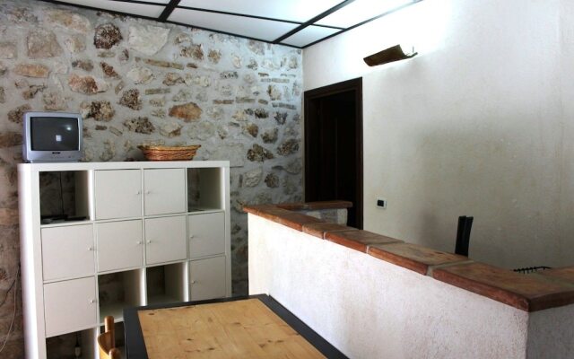 Volpe - Parco Nazionale d'Abruzzo