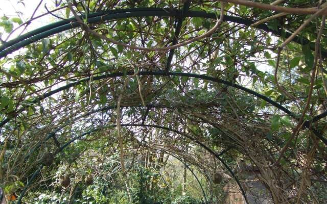 Queens Road Rental - Winchester Accommodation