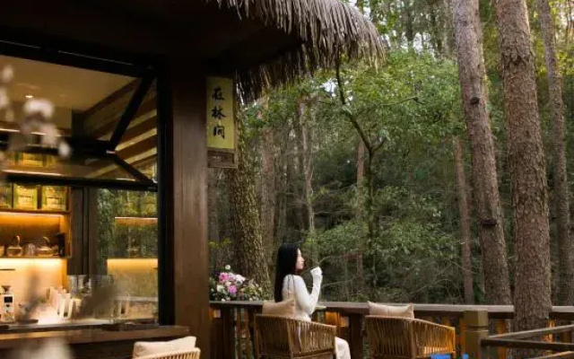 Mount Huangshan Creek Water Cloud Stream Forest Resort Hotel (Tunxi Old Street Store)