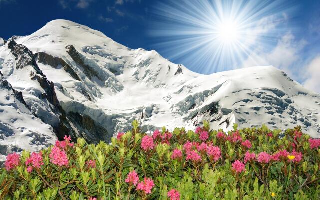 Appt Bec D4 in Le Tour Argenti re