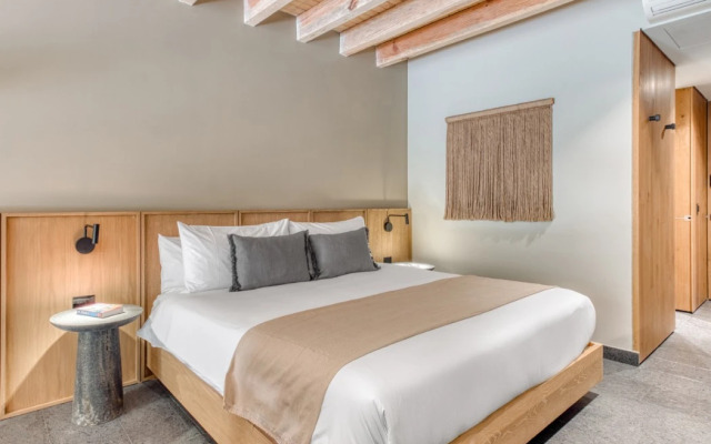 ONTO Alvaro Obregon Mexico City