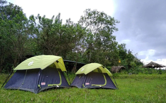 Shades Of Green - Camping Near Dubare