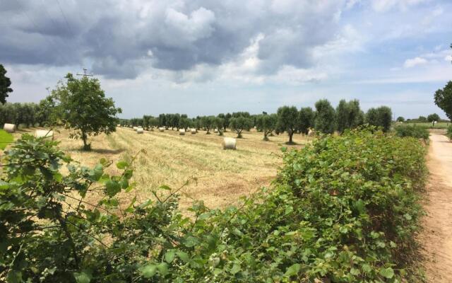 The Paradise - Il Paradiso di Ostuni