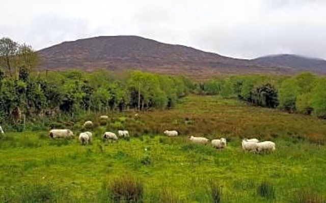 Mountain View Bed & Breakfast, Kenmare, Co. Kerry, Ireland