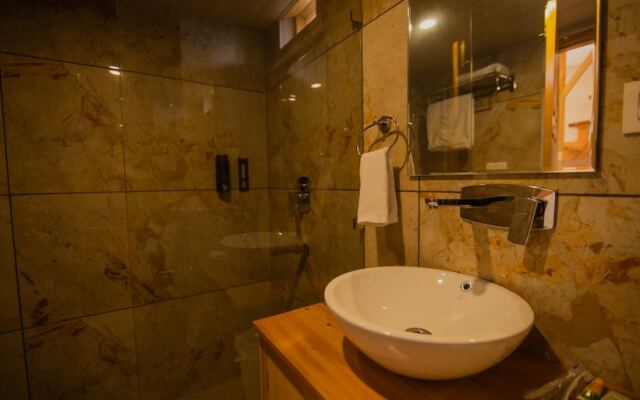 Manali Outskirts Villa
