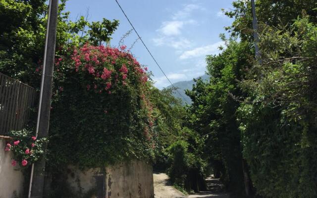 Secret pearl! Amalfi Coast, Pompei & Naples Free parking