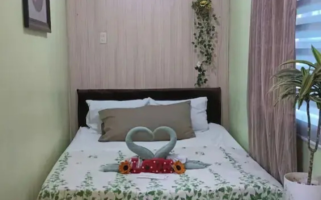 Amigas Transient House