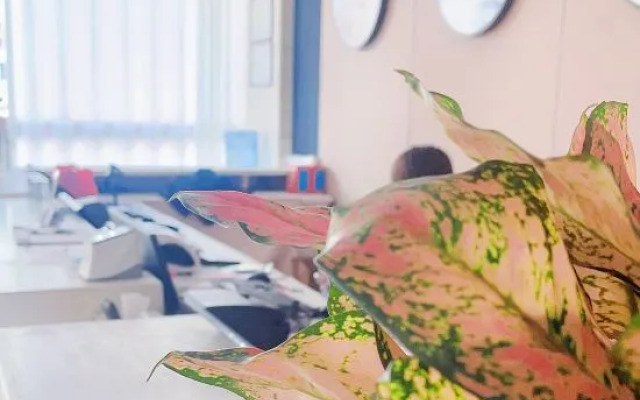 Ruxing Family Business Hotel