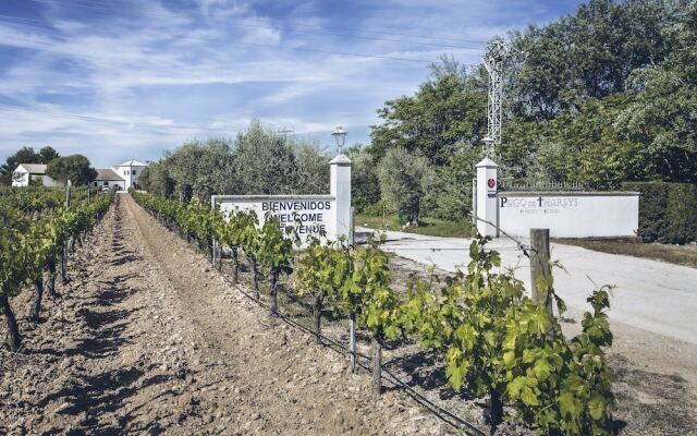 Hotel Rural Pago de Tharsys