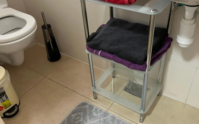 גיא ברוזמרין