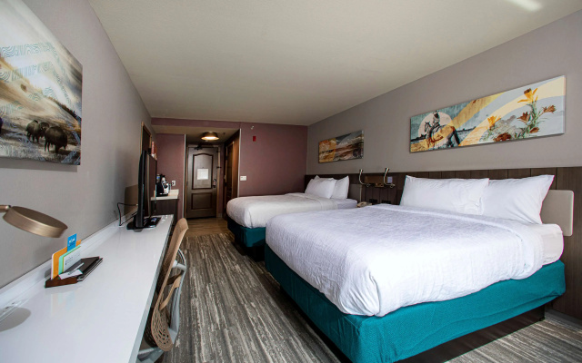 Hilton Garden Inn Rapid City