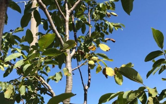 Azienda Agrituristica I Tre Casali