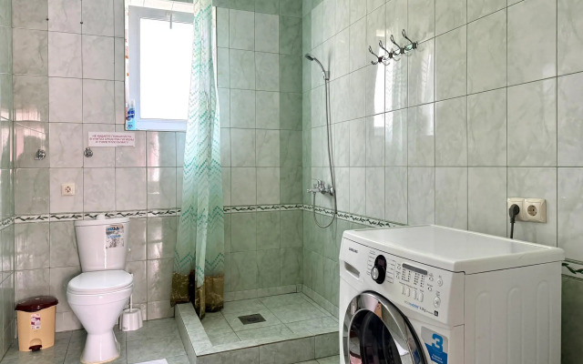 У термальных источников