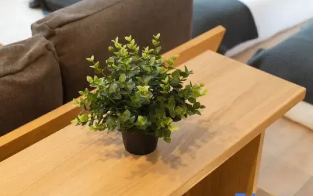 JS xiaozhai・tennoji