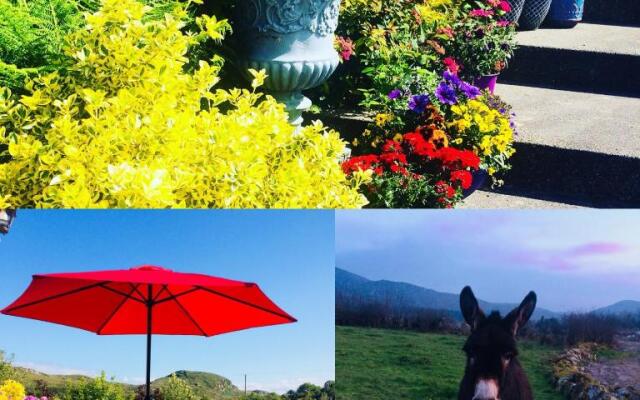 Hillcrest farmhouse Bed & Breakfast