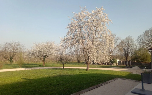 Domaine d'Arcalis