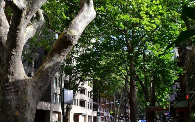 Potts Point Chic, Sydney Apartment