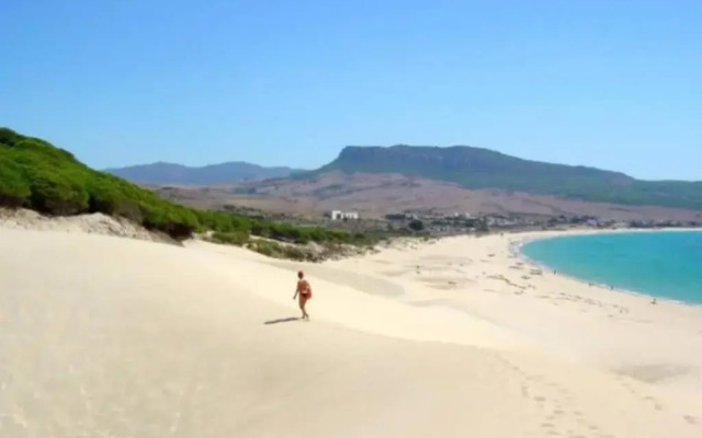 Natural Dream Apartment Blue Wifi