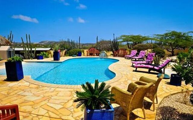 Paradise Apartment