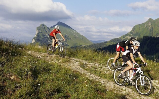 Cosy Apartment in Dalaas With Terrace, Garden & Ski-storage