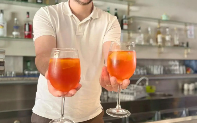 Hotel Vianello