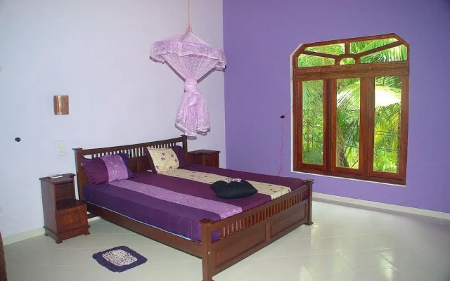 King Coconut Lodge