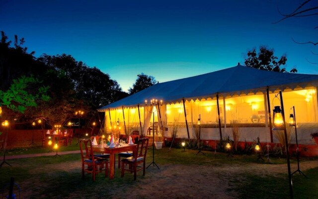 Abrar Palace & Jungle Camps