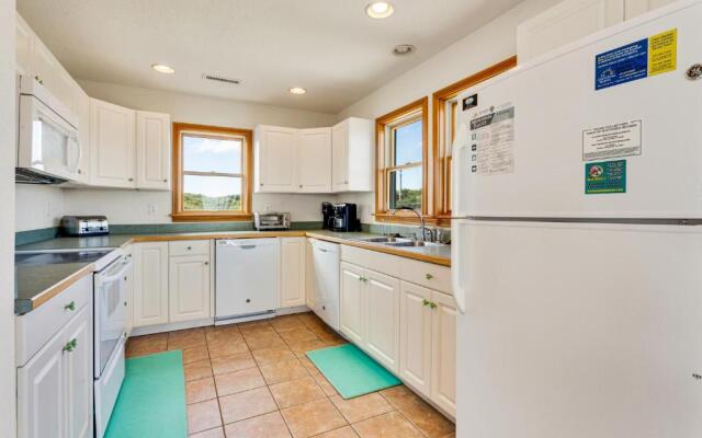 3068 - Carolina Sunshine