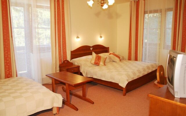 Ski & Wellness Residence Družba